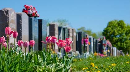 All Saints Cemetery